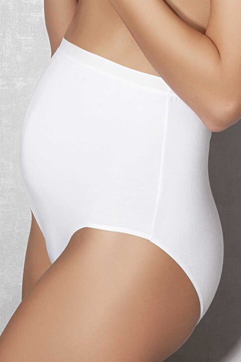 Doreanse Kadın Modal Hamile Lohusa Külot Slip 7117